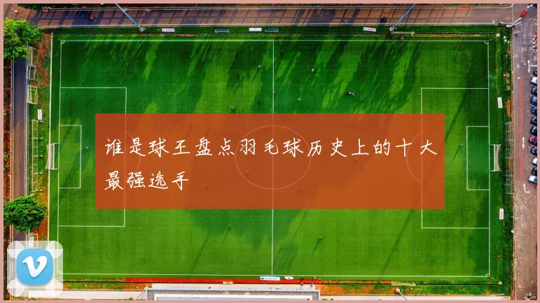谁是球王盘点羽毛球历史上的十大最强选手