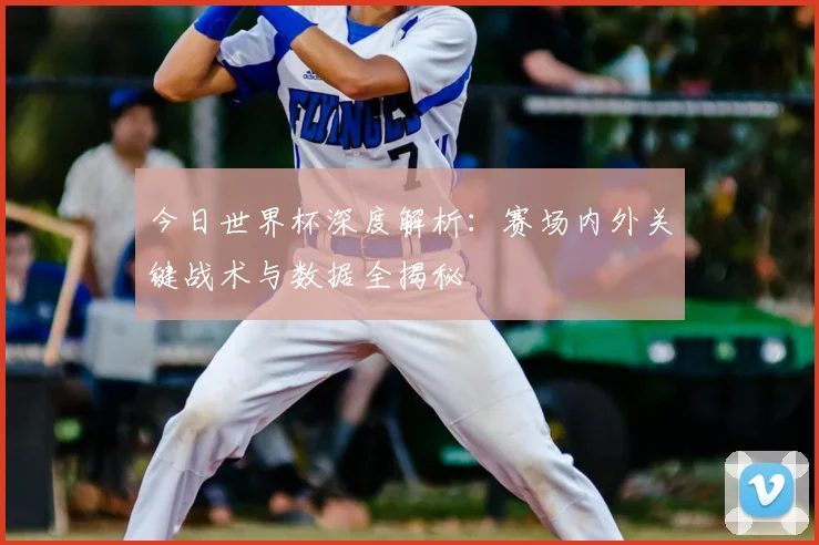 今日世界杯深度解析：赛场内外关键战术与数据全揭秘